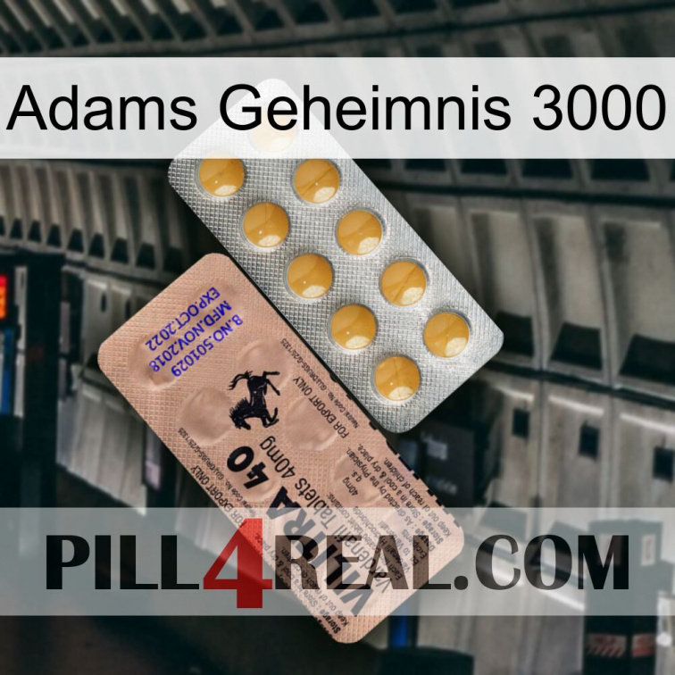 Adams Secret 3000 41